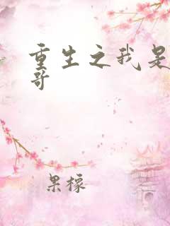 重生之我是大帅哥