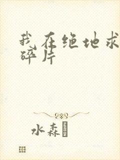 我在绝地求生捡碎片