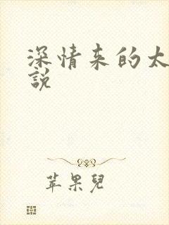 深情来的太迟小说