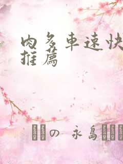 肉多车速快的书推荐