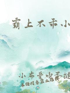 霸上不乖小逃妻