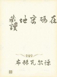 藏地密码在线阅读