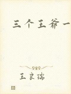 三个王爷一个妃