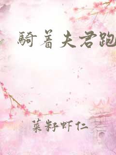 骑着夫君跑世界