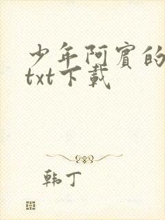 少年阿宾的故事txt下载