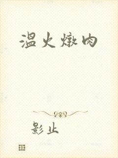 温火炖肉