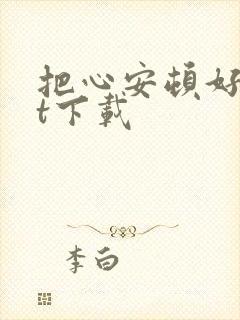 把心安顿好txt下载