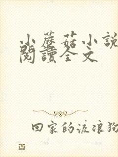 小蘑菇小说免费阅读全文