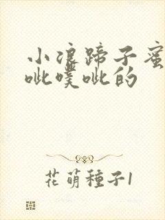 小浪蹄子蜜水噗呲噗呲的