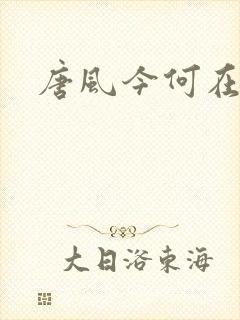 唐风今何在