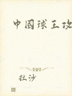 中国球王攻略