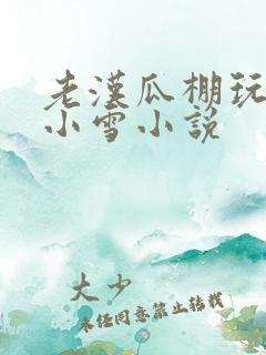 老汉瓜棚玩小丹小雪小说