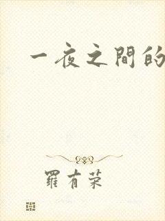 一夜之间的天才