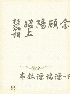 楚昭阳顾念在冰箱上