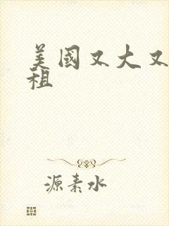 美国又大又长又租