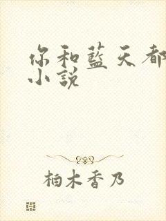 你和蓝天都重要小说