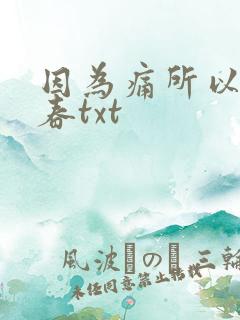 因为痛所以叫青春txt