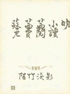 苏茜茜小明全文免费阅读