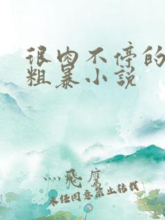 很肉不停的做很粗暴小说