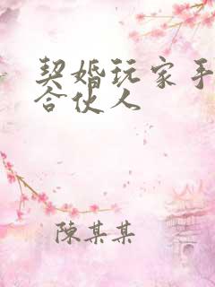 契婚玩家手册之合伙人