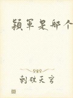 颖军是哪个军阀