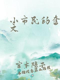 小市民的奋斗燃文