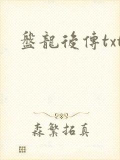 盘龙后传txt