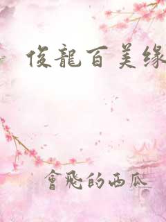 俊龙百美缘小说