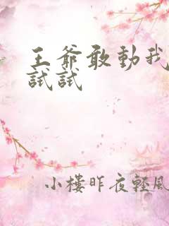 王爷敢动我妈咪试试