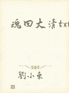 魂回大清txt