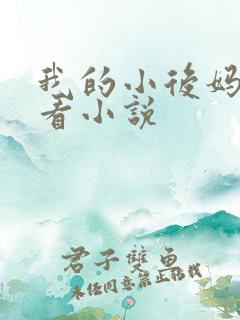 我的小后妈免费看小说