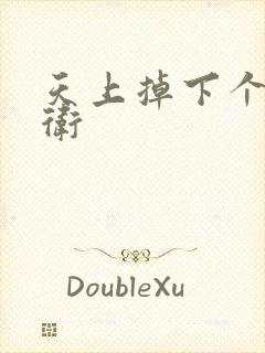 天上掉下个影卫卫