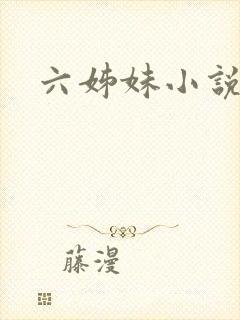 六姊妹小说