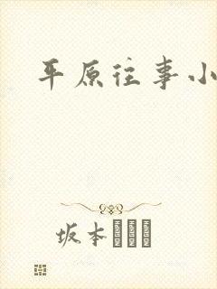 平原往事小说
