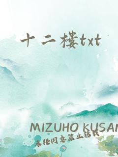 十二楼txt