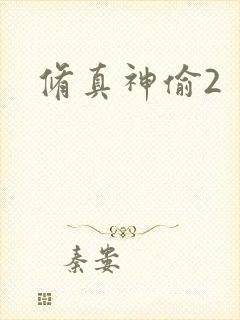 修真神偷2