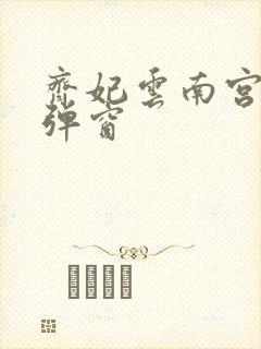 齐妃云南宫夜无弹窗