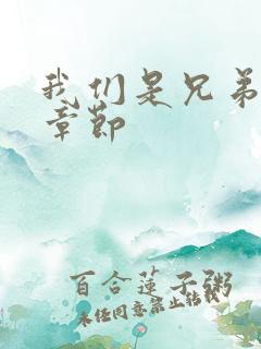 我们是兄弟最新章节