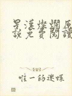 星汉灿烂原著小说免费阅读