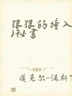 狠狠的撞入(h)秘书