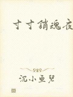 寸寸销魂夜春光