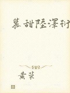 慕甜陆泽衍小说