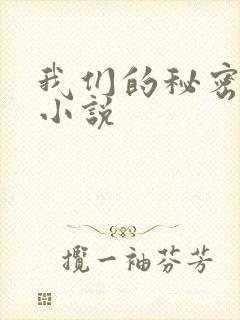 我们的秘密泰剧小说
