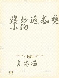 爆炒通感双胞胎小狗