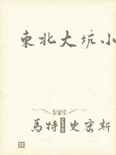 东北大坑小说