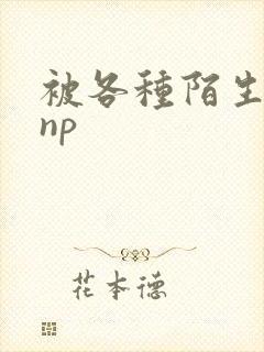 被各种陌生人 np