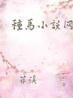 种马小说网