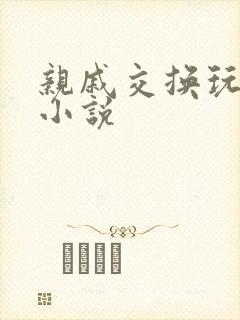 亲戚交换玩美妇小说