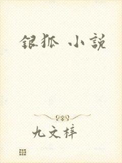 银狐 小说
