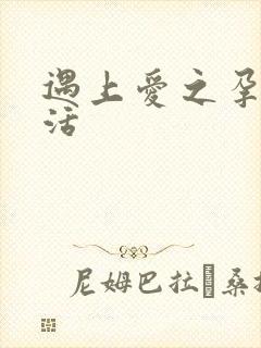 遇上爱之孕夫生活